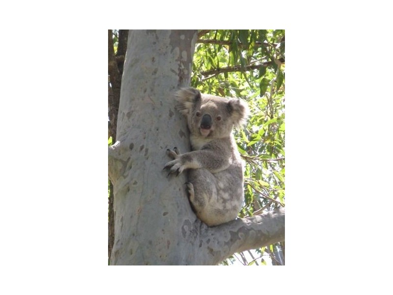 Stroud NSW 2425