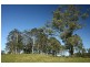 Stroud NSW 2425