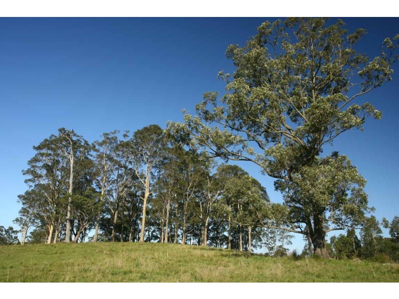 Stroud NSW 2425
