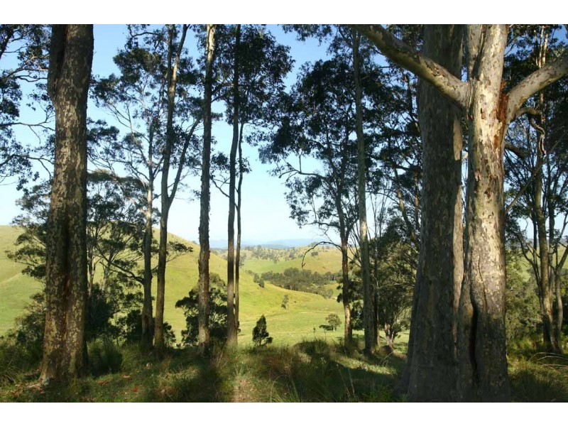 Stroud NSW 2425