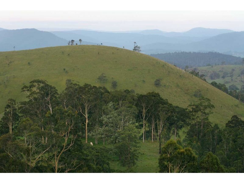 Stroud NSW 2425
