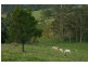 Stroud NSW 2425
