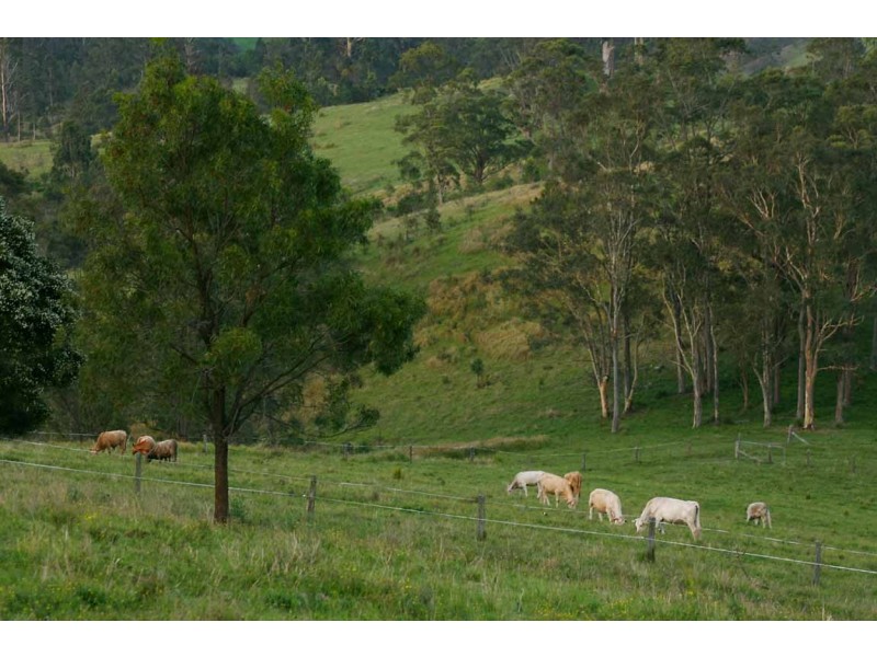 Stroud NSW 2425