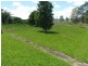 16 Karuah Street, Stroud Road NSW 2415