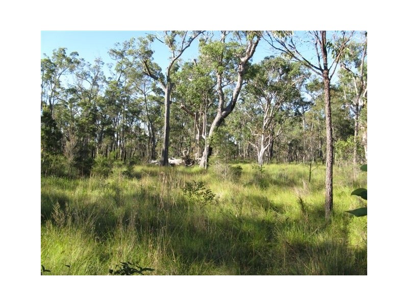 Lot 120 Sylvania Street, The Branch NSW 2425