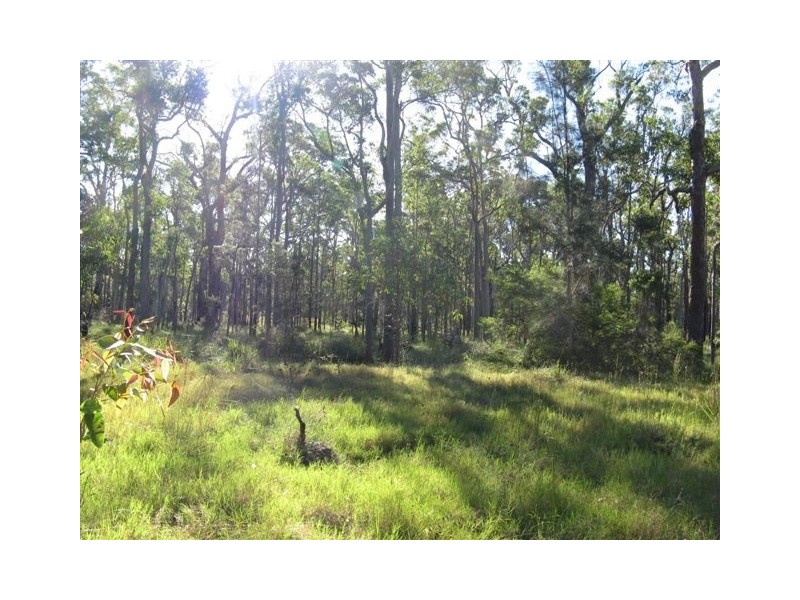 Lot 120 Sylvania Street, The Branch NSW 2425