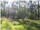 Lot 120 Sylvania Street, The Branch NSW 2425