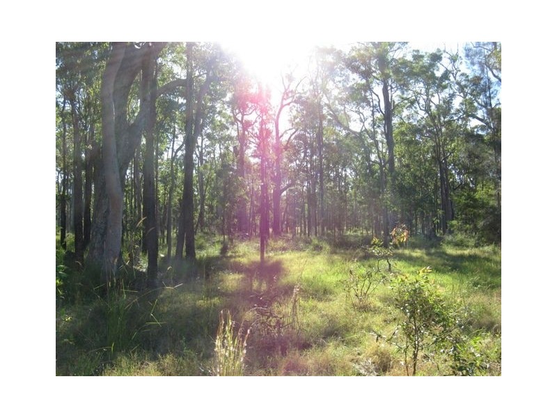 Lot 120 Sylvania Street, The Branch NSW 2425