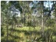 Lot 120 Sylvania Street, The Branch NSW 2425