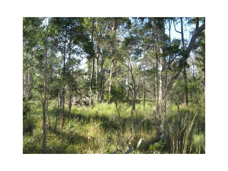 Lot 120 Sylvania Street, The Branch NSW 2425