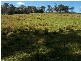 Stroud NSW 2425