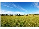 589 Warraba Rd, The Branch NSW 2425