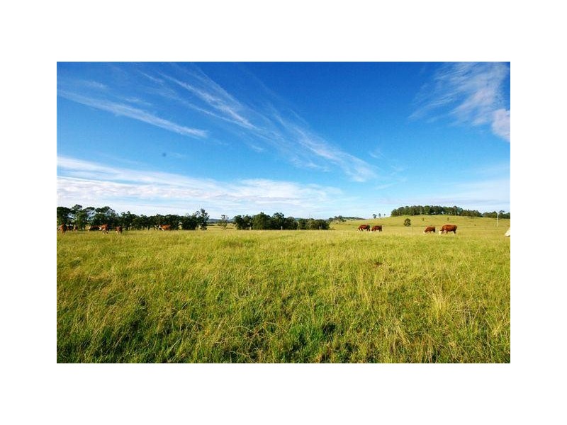 589 Warraba Rd, The Branch NSW 2425