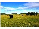 589 Warraba Rd, The Branch NSW 2425