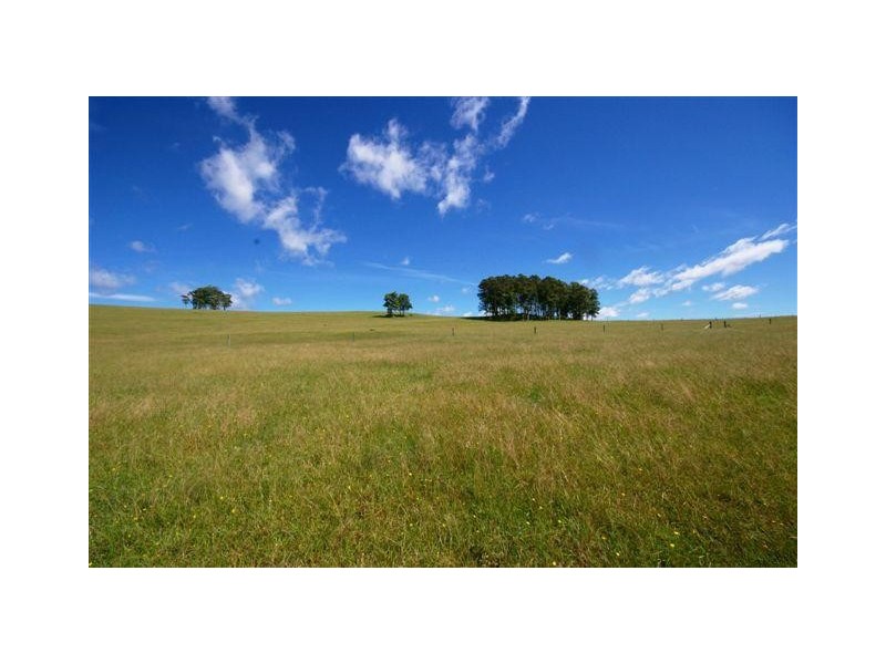 589 Warraba Rd, The Branch NSW 2425