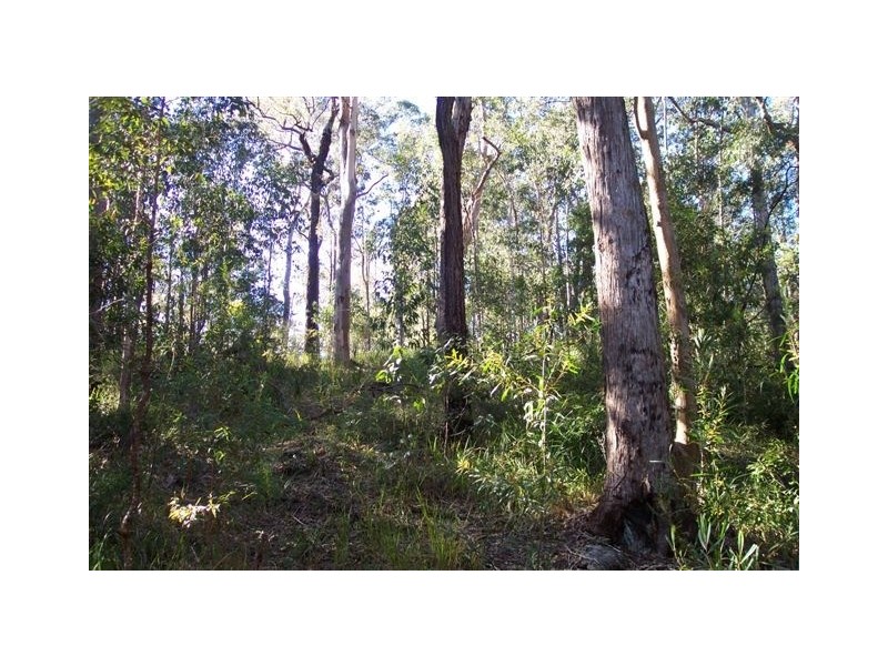 560 Black Camp Road, Stroud NSW 2425