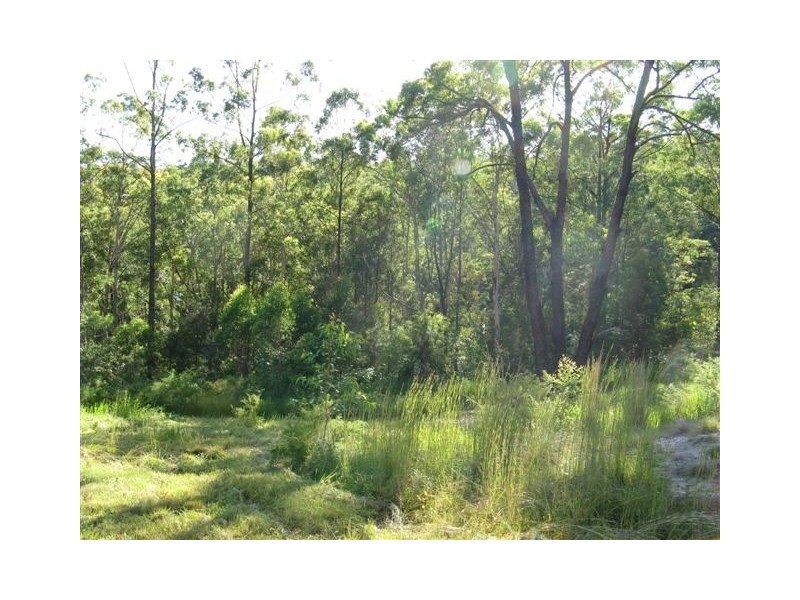 Stroud NSW 2425