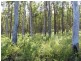 Booral NSW 2425