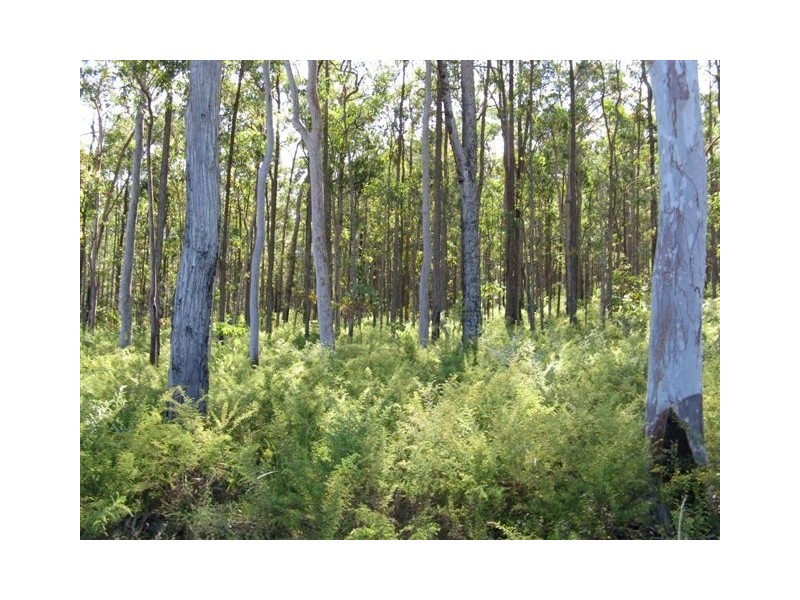 Booral NSW 2425
