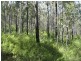 Booral NSW 2425