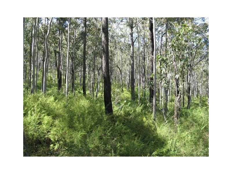 Booral NSW 2425