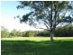 Limeburners Creek NSW 2324