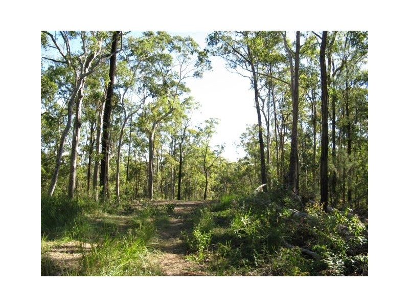 Limeburners Creek NSW 2324