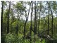 Limeburners Creek NSW 2324
