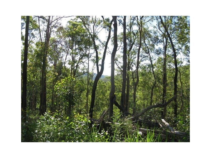 Limeburners Creek NSW 2324