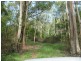 Limeburners Creek NSW 2324