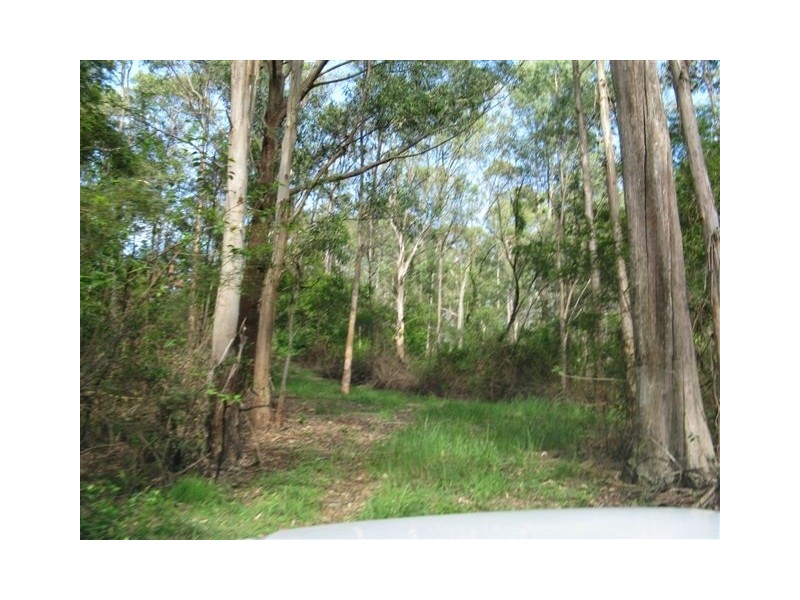 Limeburners Creek NSW 2324