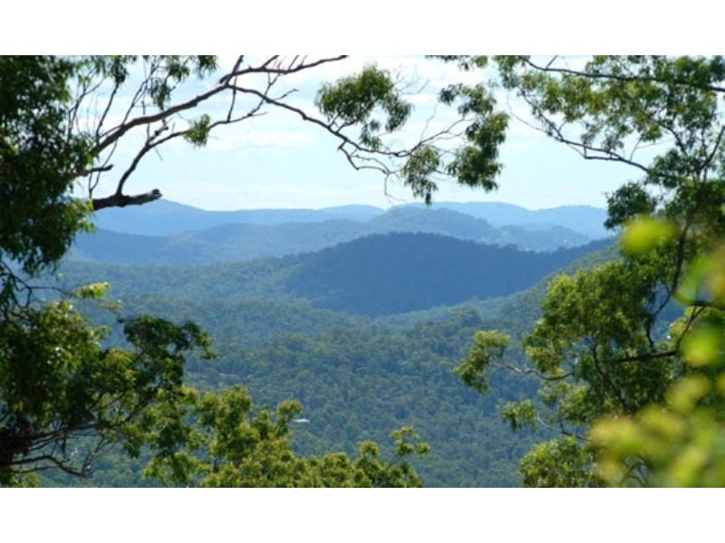 Austinville QLD 4213