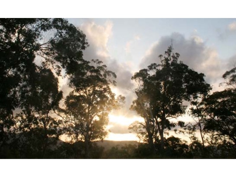 Austinville QLD 4213