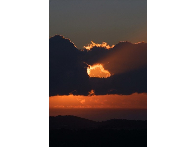 Austinville QLD 4213