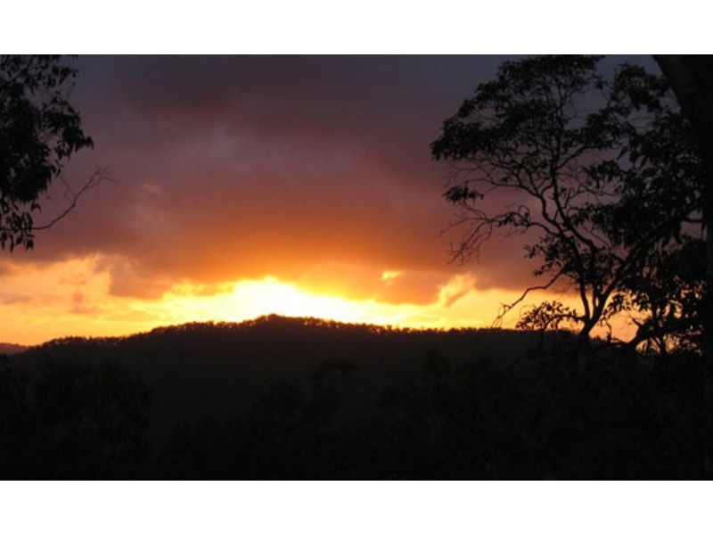 Austinville QLD 4213