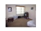 Maitland NSW 2320