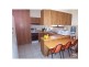 Maitland NSW 2320