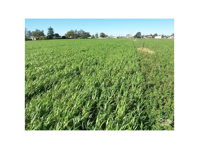 Maitland NSW 2320