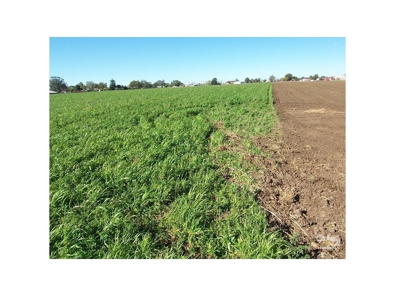 Maitland NSW 2320