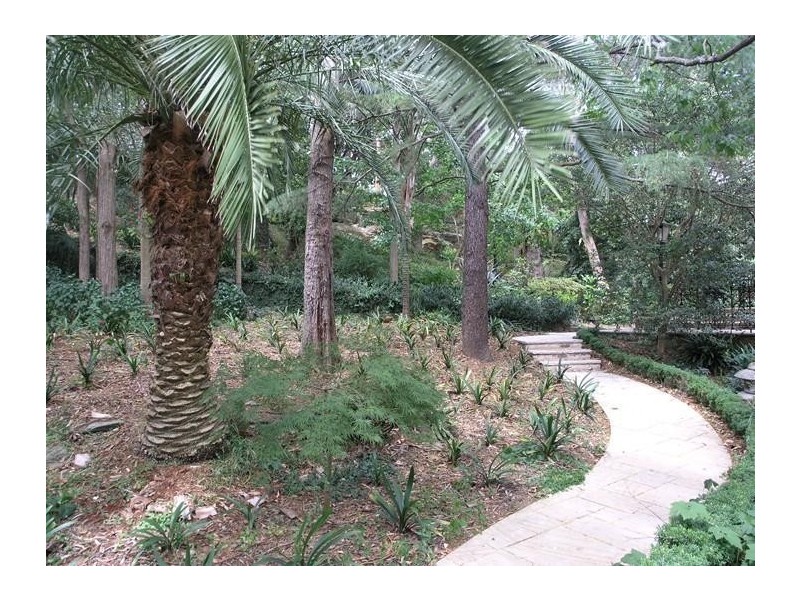 39 Wilfred Ave, Chatswood NSW 2067