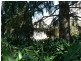 Faulconbridge NSW 2776