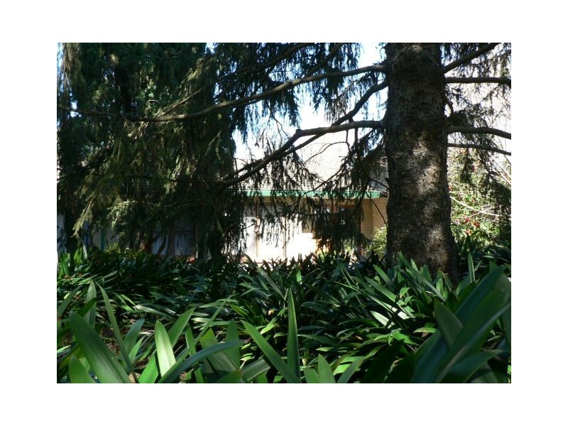 Faulconbridge NSW 2776