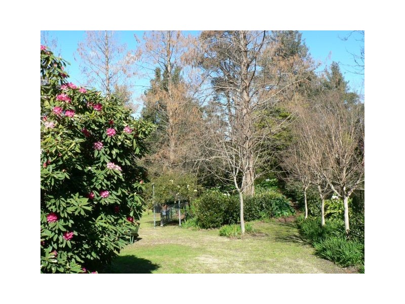 Faulconbridge NSW 2776