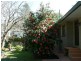Faulconbridge NSW 2776
