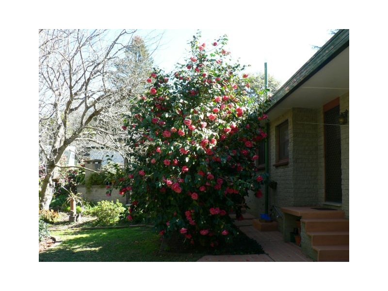 Faulconbridge NSW 2776