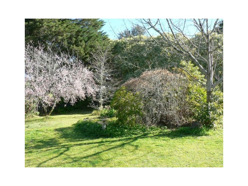 17 Woodford Ave, Woodford NSW 2778