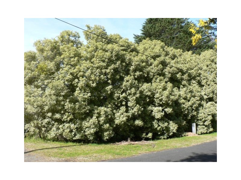 17 Woodford Ave, Woodford NSW 2778