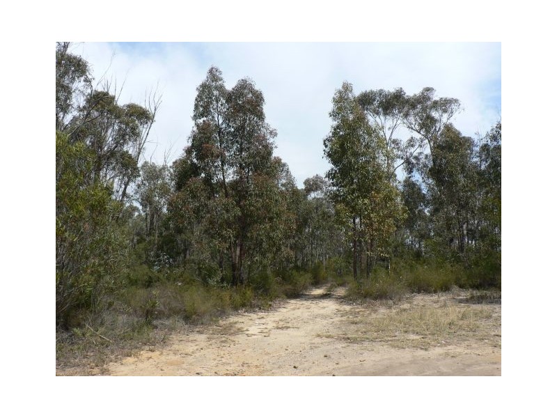 59 Albert Road, Bullaburra NSW 2784