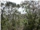 59 Albert Road, Bullaburra NSW 2784