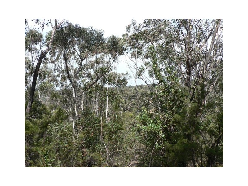 59 Albert Road, Bullaburra NSW 2784